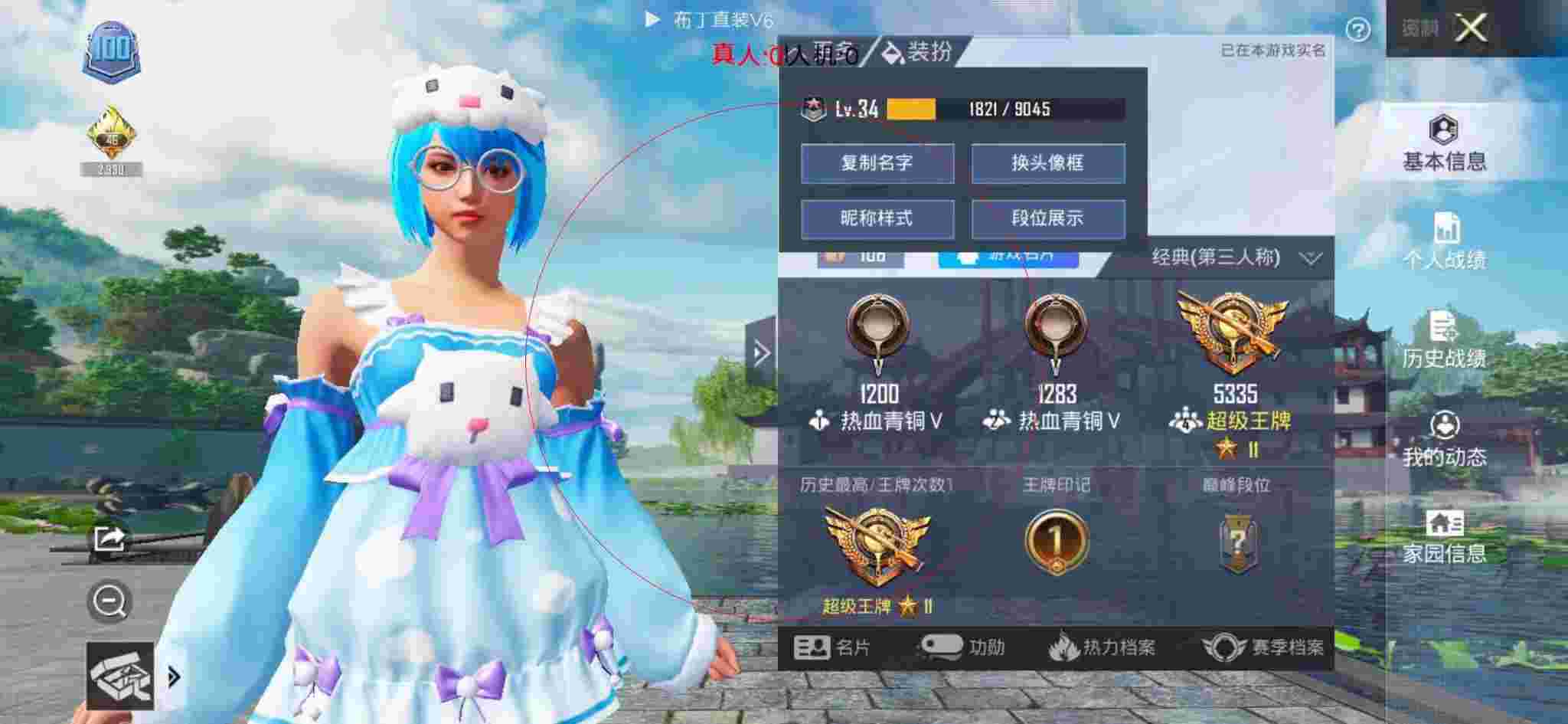 和平精英布丁直装透视 - 和平精英大白兔辅助apk辅助预览图